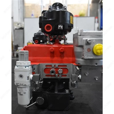 Actuator rotativ cu acțiune dublă